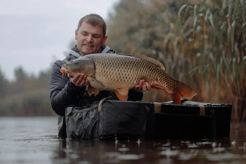 Fishing Techniques for Carp Fishing