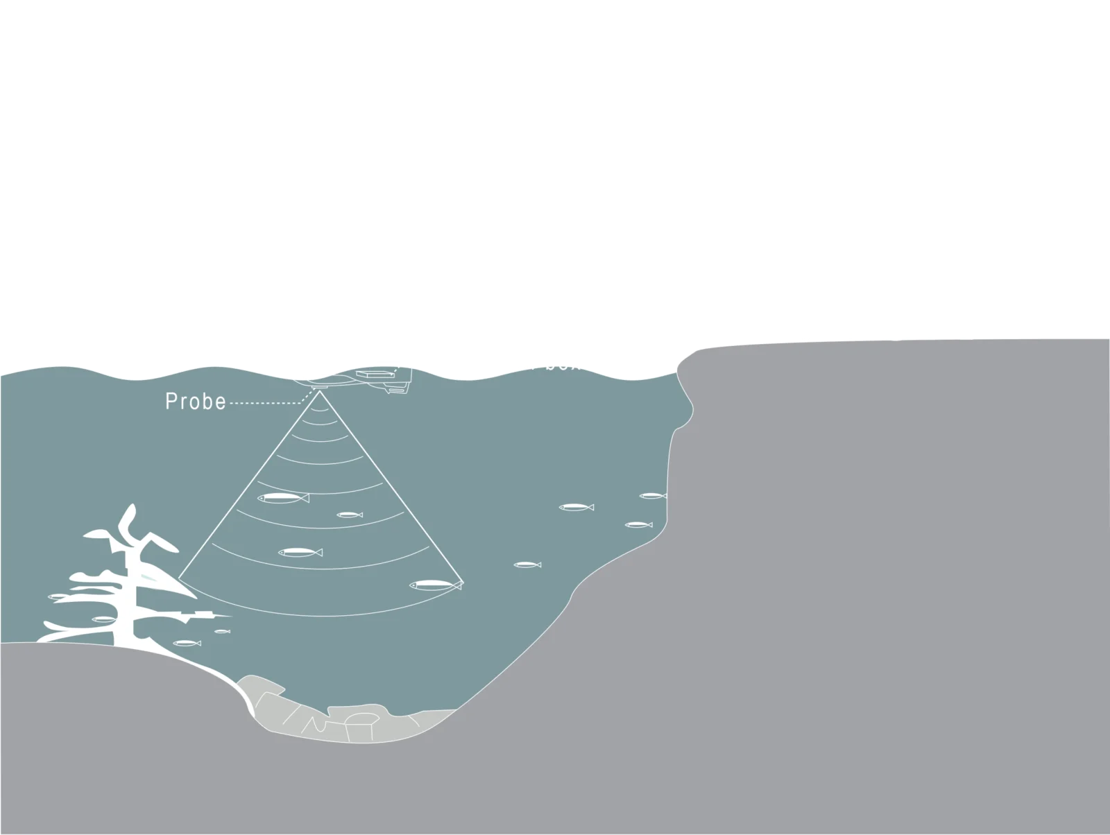 yuerchuan-Bait-boat-with-fish-finder